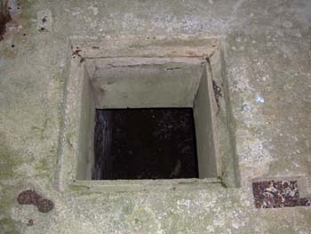 DSCF2940