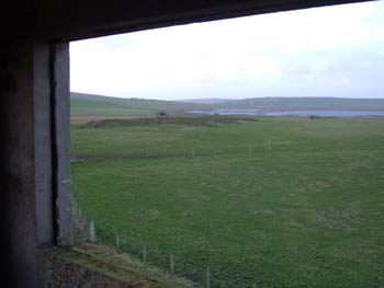 DSCF2942