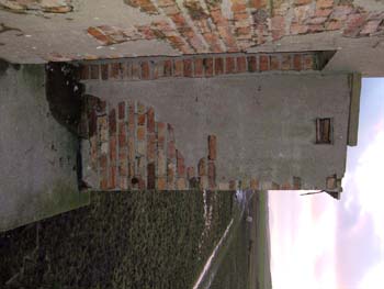 DSCF2963
