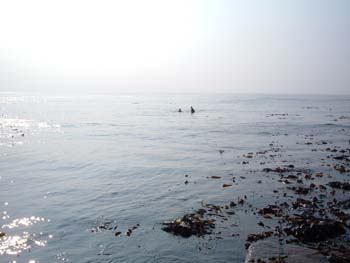 DSCF1149